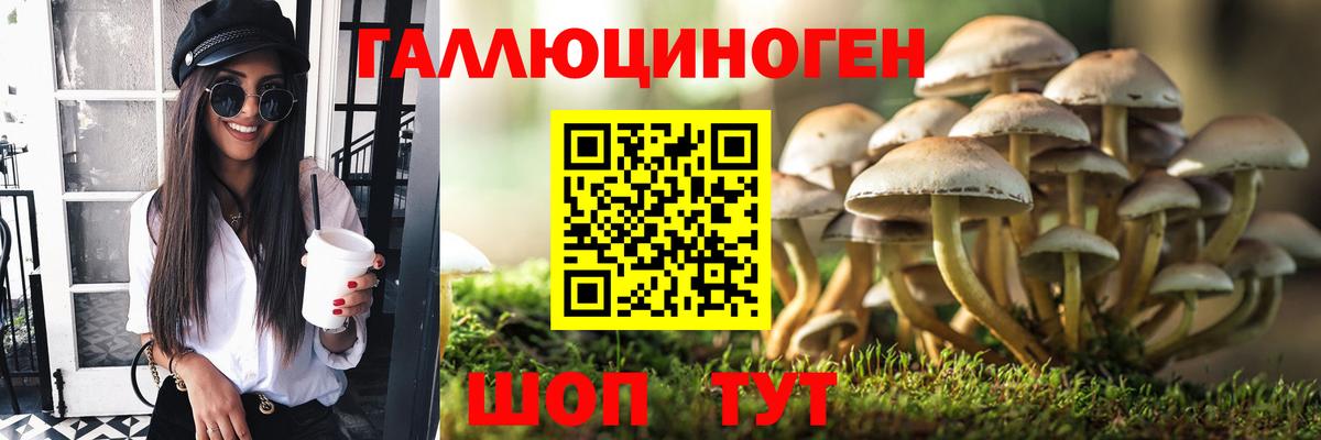 наркотики  Галлюциногенные грибы Psilocybine cubensis  Вход с VPN  Балашиха 